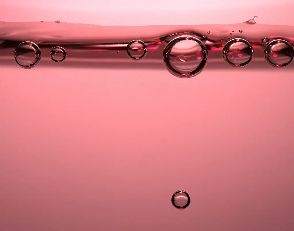 一個人吃飯餐廳大蒐羅,台北美食不孤單!