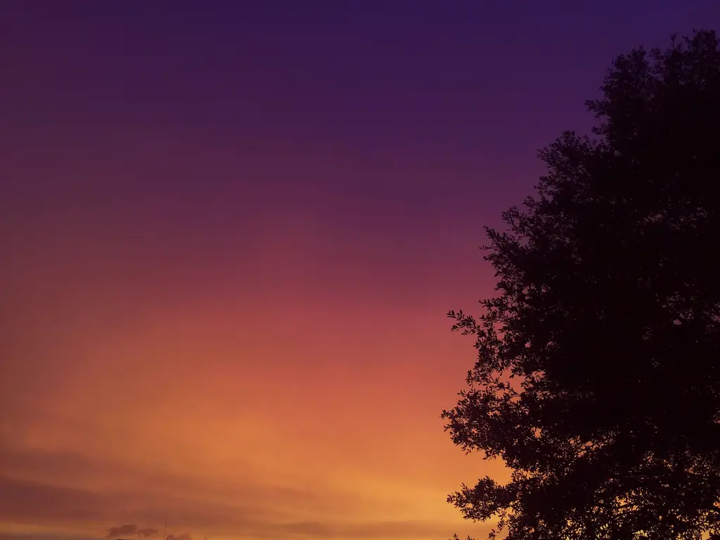 一個人也能輕鬆玩遍世界!單人跟團旅遊攻略