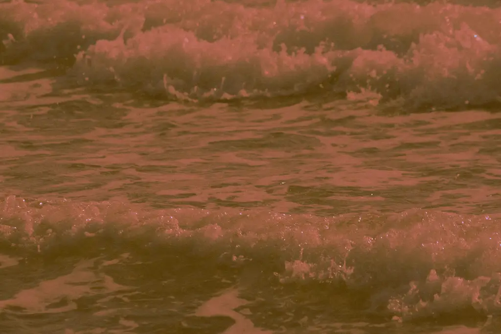 拒絕酒肉朋友|避開六種「燒身」損友,遠離人生爛攤子